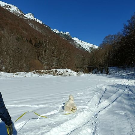 Стаи За Гости Рила ภายนอก รูปภาพ